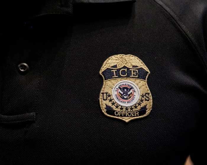 Calls for investigation after video shows ICE officers using batons on protesters