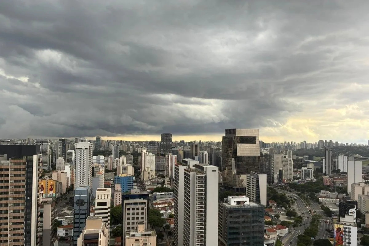 Em 10 horas, SP tem 79 quedas de árvore, 5 desabamentos e um desmoronamento