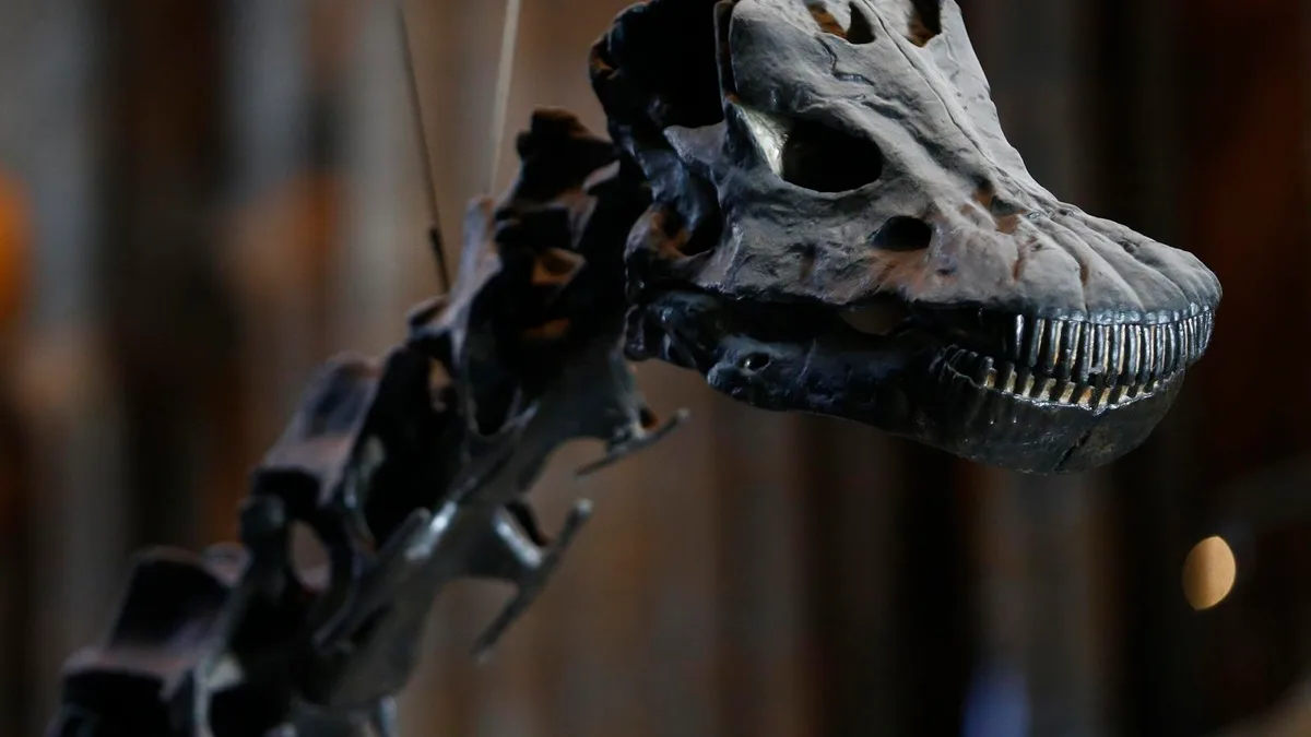 El dinosaurio que no debería estar en Teruel: hallan un diplodocus fuera de Norteamérica