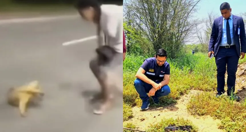 Caso viral: Iniciaron investigación para capturar a responsables del brutal maltrato a oso malero en Anzoátegui