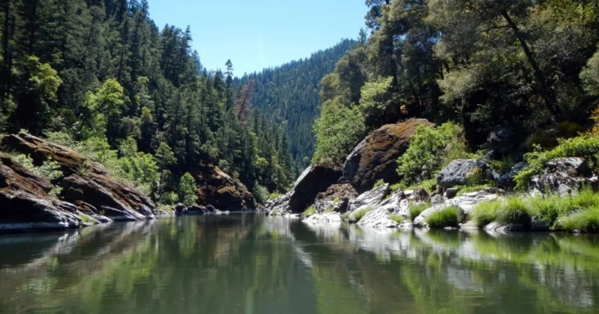 Tras la mayor remoción de represas de Estados Unidos, la tribu Yurok está devolviendo vida al río Klamath con millones de semillas nativas