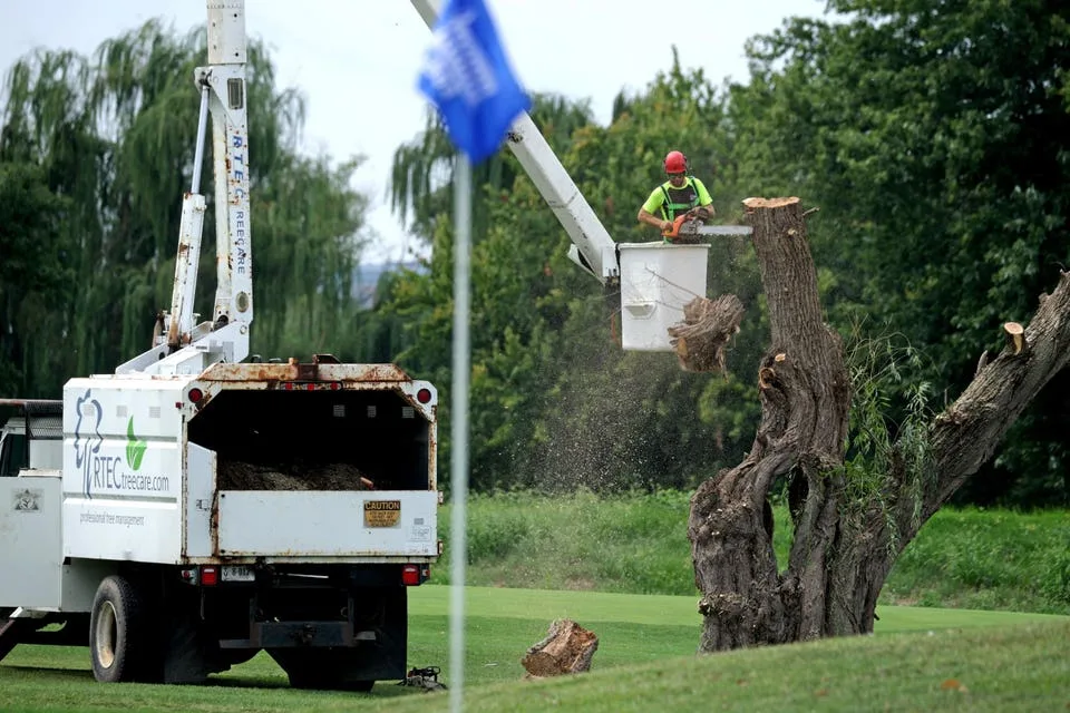 Trump’s Tree Removal Plans At D.C. Golf Course Blocked 2 More Weeks—After Abruptly Downing Hundreds