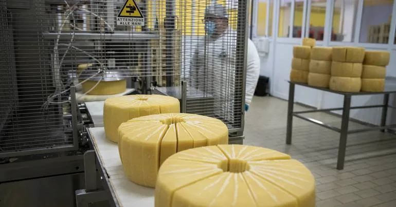 "Guerra" entre ilhas por apoios ao queijo de São Jorge