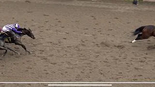 Bodacious Bay sorprende y gana el Cotillion Stakes en Parx Racing