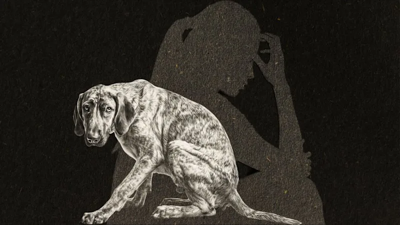 Louise ended her relationship with a man after less than a year. His revenge was horrific