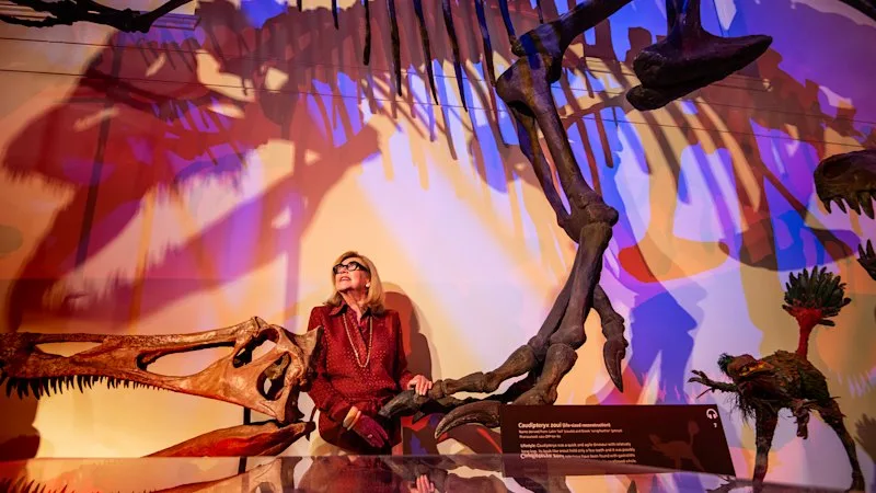 ‘Bigger than anything I’ve seen’: Australian Museum to host the largest dinosaur to walk the Earth
