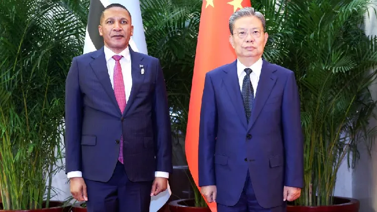 Zhao Leji meets Botswana's president, Togo's council president