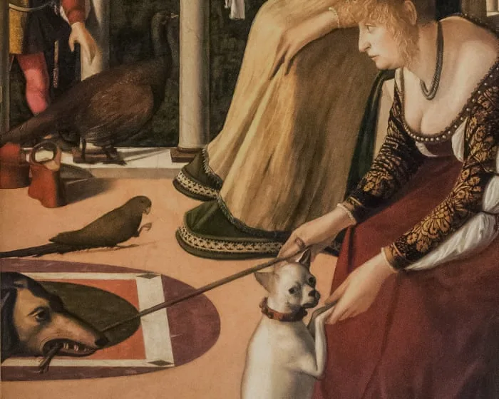 A good friend brings her dogs when she stays with me. I kind of dread it. What can I do? | Leading questions