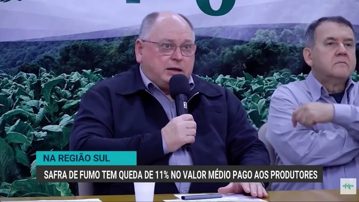 Queda no valor pago aos produtores de tabaco exige cautela para próxima safra