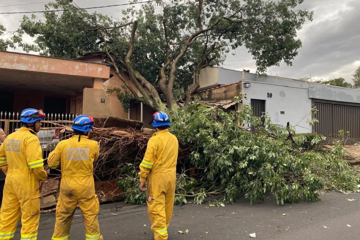 SP tem risco de ventos de 100 km/h e alerta para tempestade de poeira
