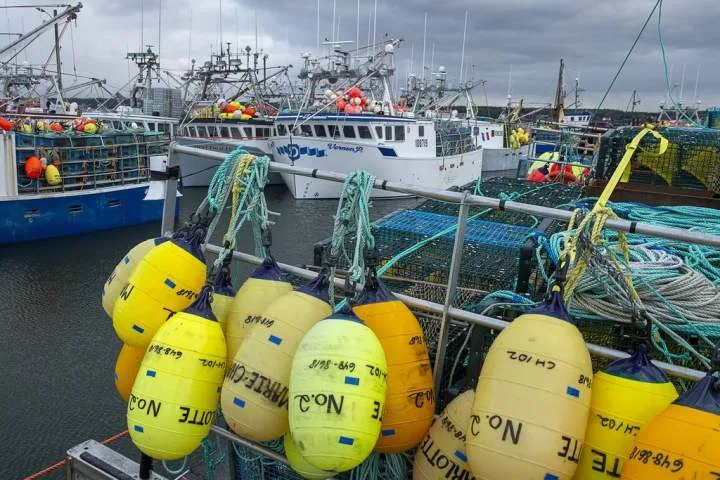 Charges laid against two Nova Scotia businesses accused of illegal lobster buying