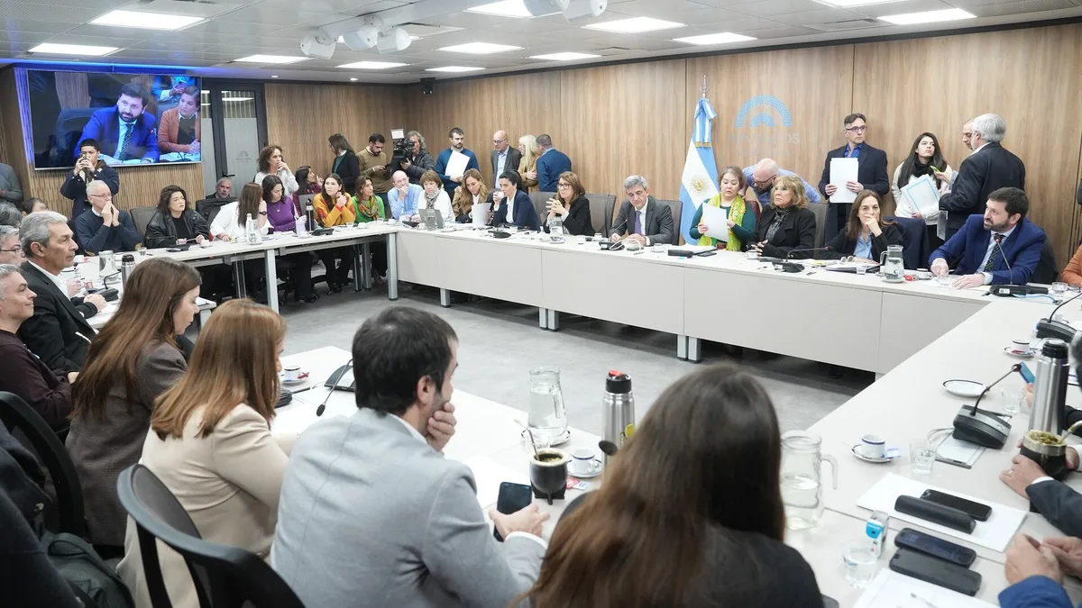 Diputados avanza en un proyecto de ley de unidad que crea un sistema nacional para rastrear medicamentos de alto riesgo