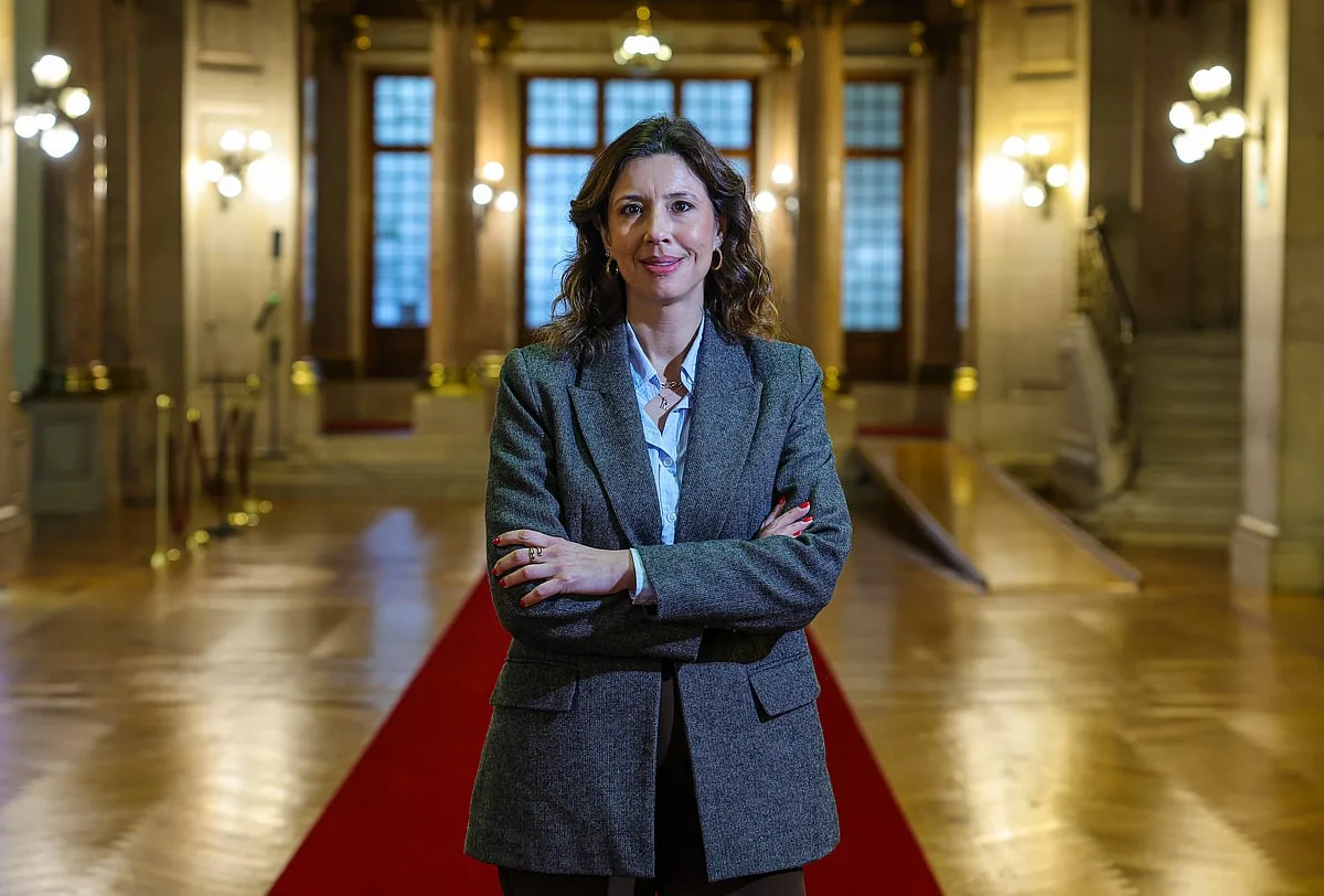 Iniciativa Liberal lamenta "mais quatro anos perdidos" na reforma da Segurança Social