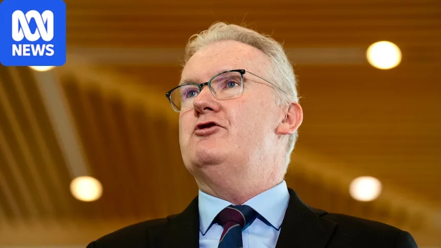 Labor's long-awaited migration overhaul targets temporary visas