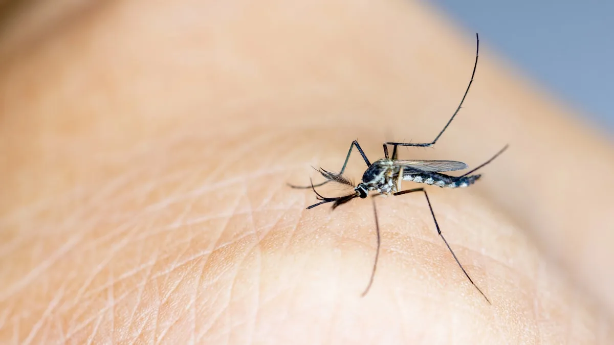 Flughafenmalaria: Fraport-Mitarbeiter an Malaria gestorben