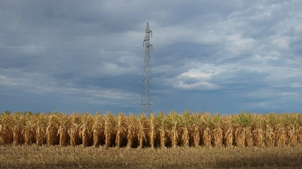 Douze départements de l'Ouest placés en vigilance orange aux orages à partir de mercredi en début de soirée