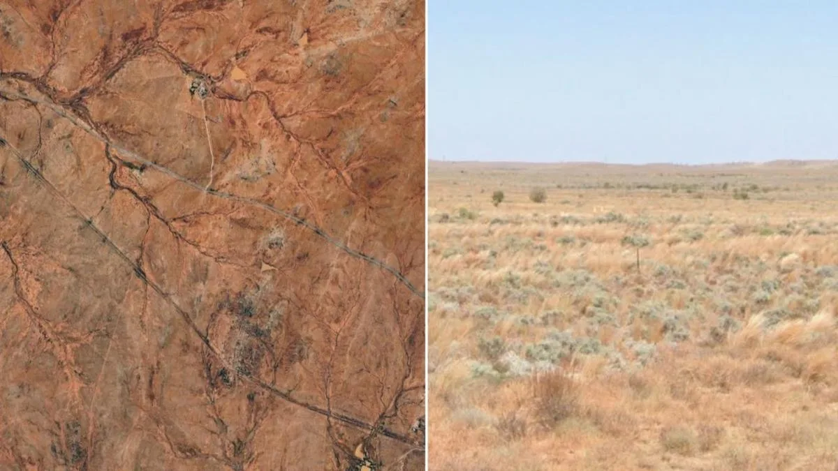 Pilot killed in chopper crash on pastoral property in rural South Australia