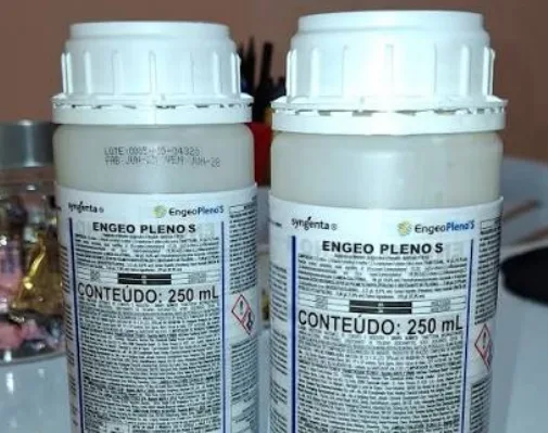 Inseticida ligado a risco para abelhas tem cadastro suspenso em MS