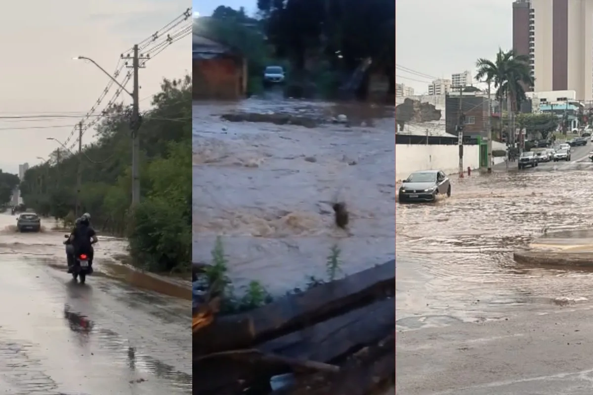 VÍDEO: temporal alaga casas, derruba árvores e causa transtornos no trânsito em Cuiabá e Várzea Grande (MT)