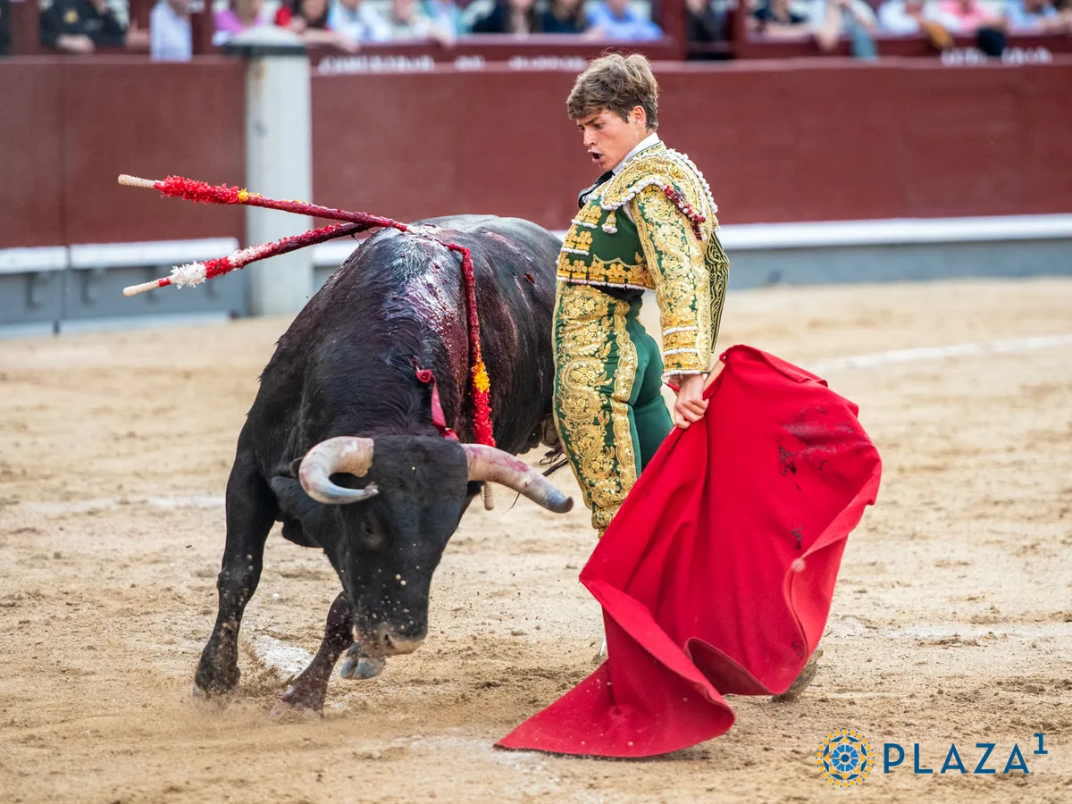 Vuelve la feria de Otoño: De la encerrona de Álvaro Serrano al regreso de Morante de la Puebla por el Día de la Hispanidad