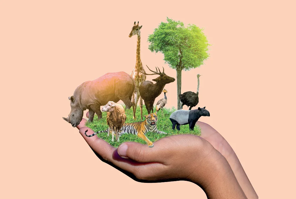 Livro ensina a conhecer (e salvar) a vida na Terra