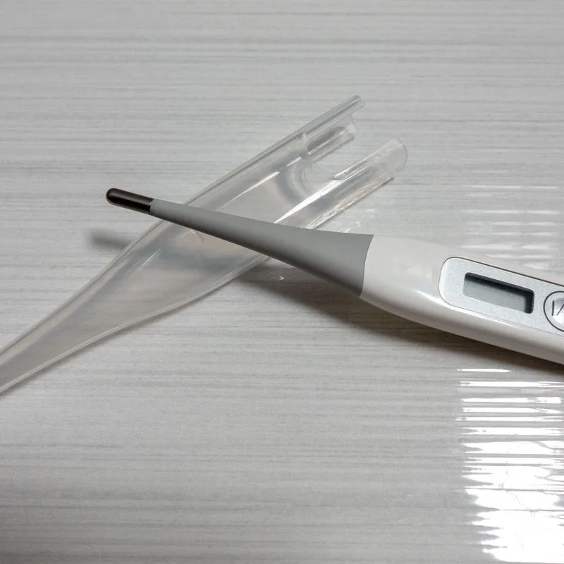 Actualité : Pour un bon thermomètre à prix abordable, privilégiez...