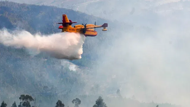 Fogo em Alvito da Beira, Proença-a-Nova, destruiu cerca de 900 hectares