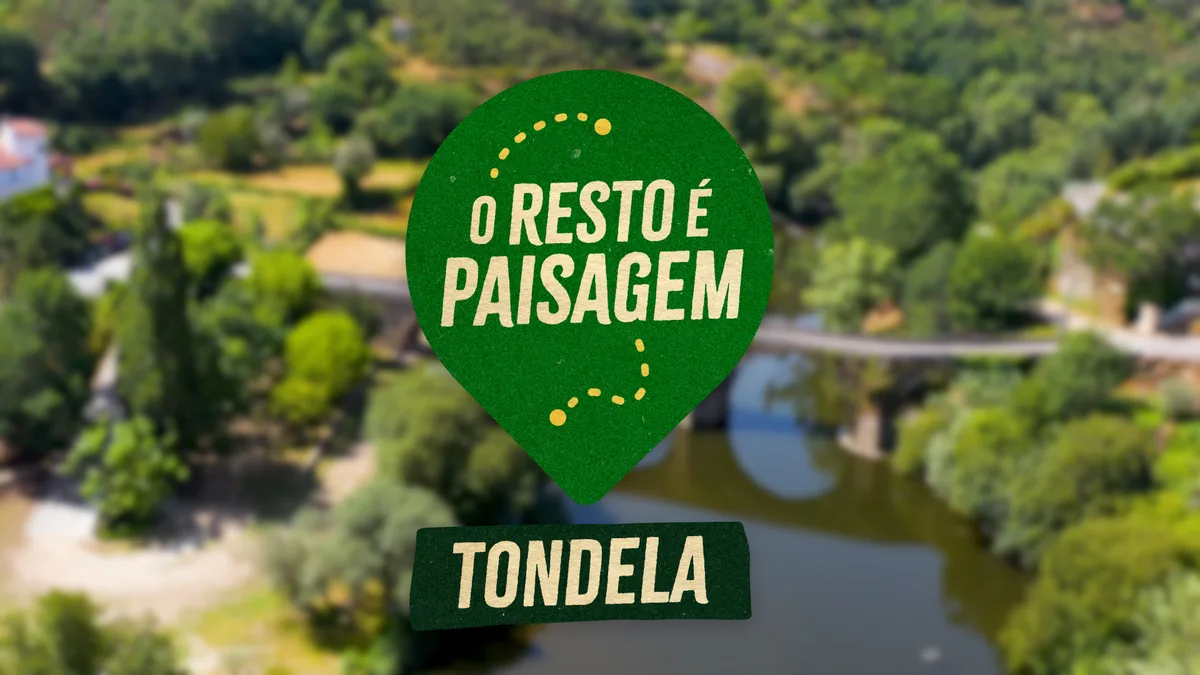 “O Resto é Paisagem”: da Serra do Caramulo à pegada cultural do concelho, "devia ir mais a Tondela”