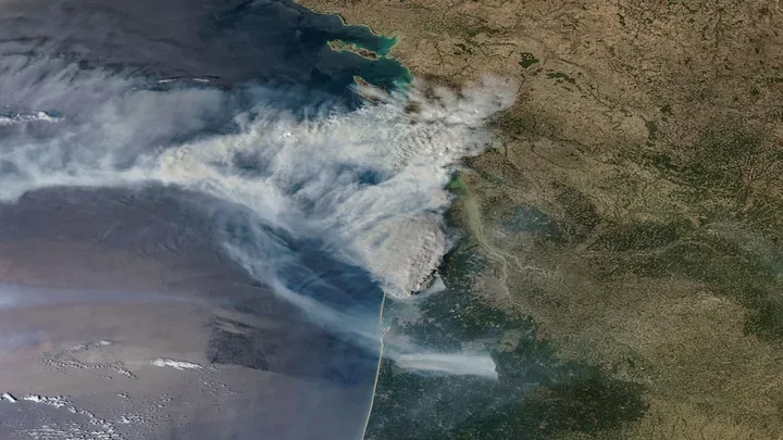 Canicule, méga-feux et biodiversité : être économiste de l’environnement en 2026