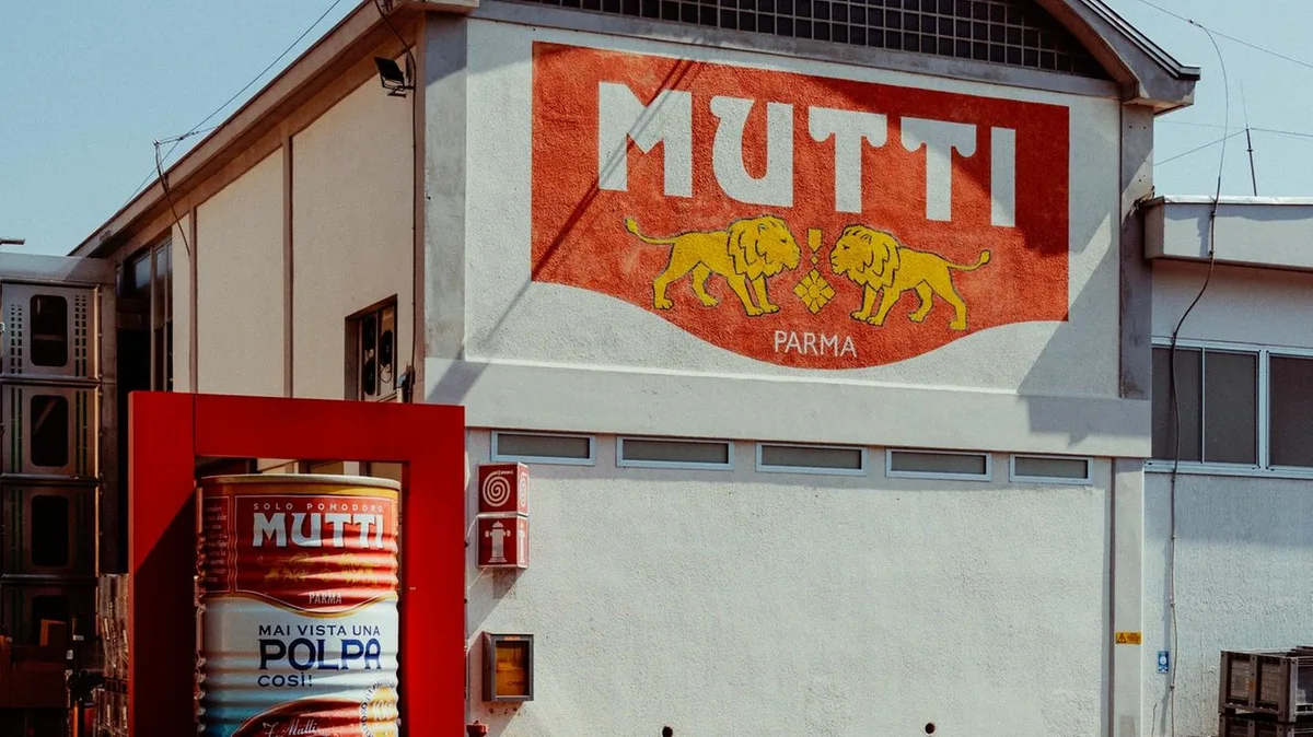 Dosentomaten: Wie Mutti die deutschen Supermarktregale im Sturm erobert hat