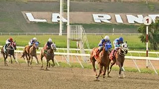 Dos selectivas engalanan la cartelera de La Rinconada este fin de semana