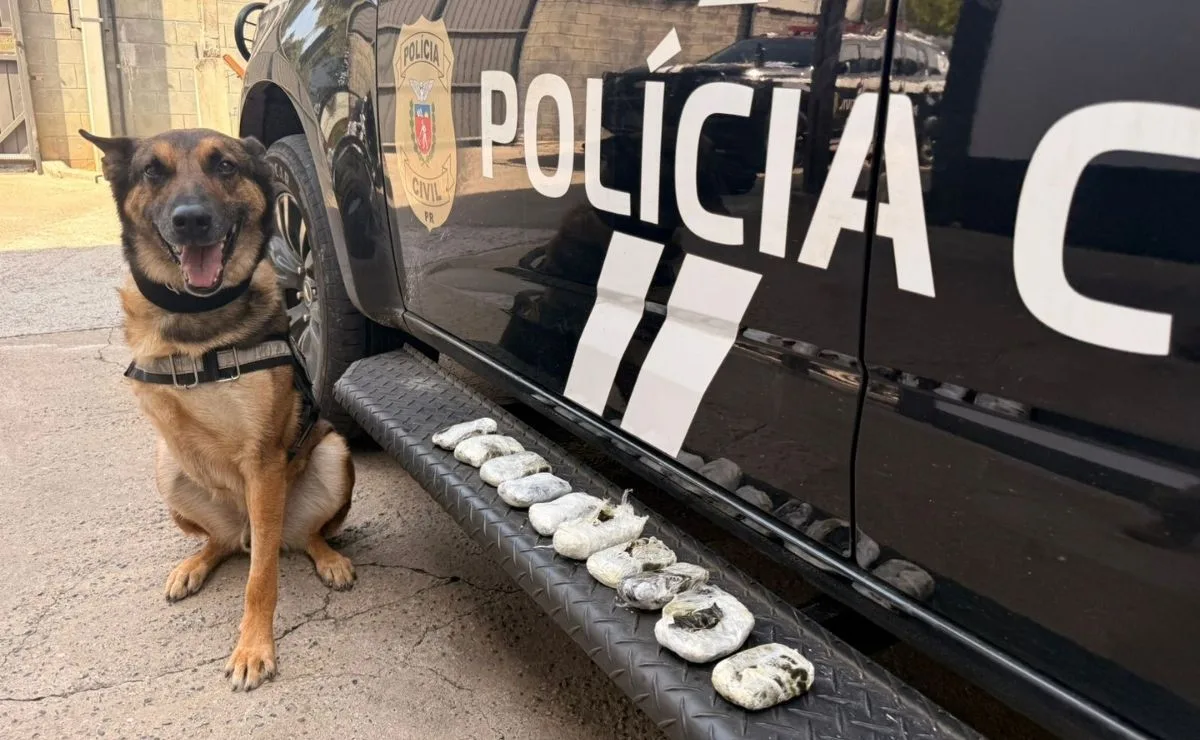 Homem é preso na Rodoviária de Curitiba transportando drogas em ônibus; suspeito já foi detido por carregar armas em coletivo
