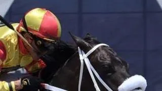 Confirmado: Corredor del Kentucky Derby llega para participar en la Jockey Club y Simón Bolívar