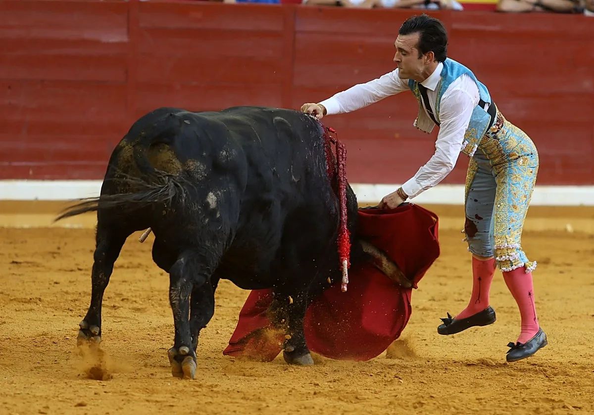 La torista de Illescas se salda con oreja por coleta