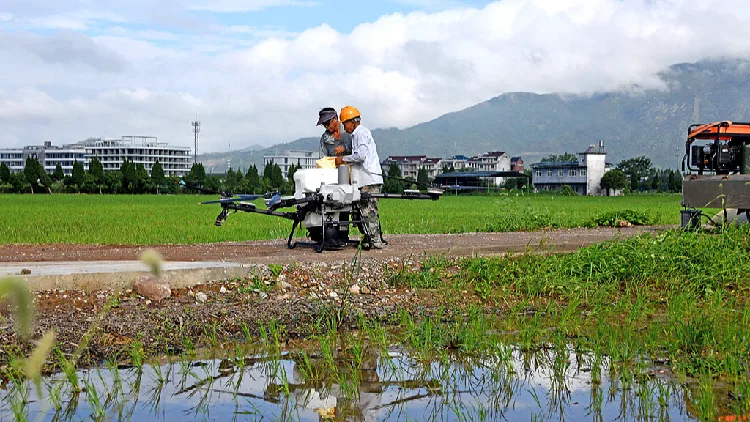 China expands insect radar network for early crop pest warnings