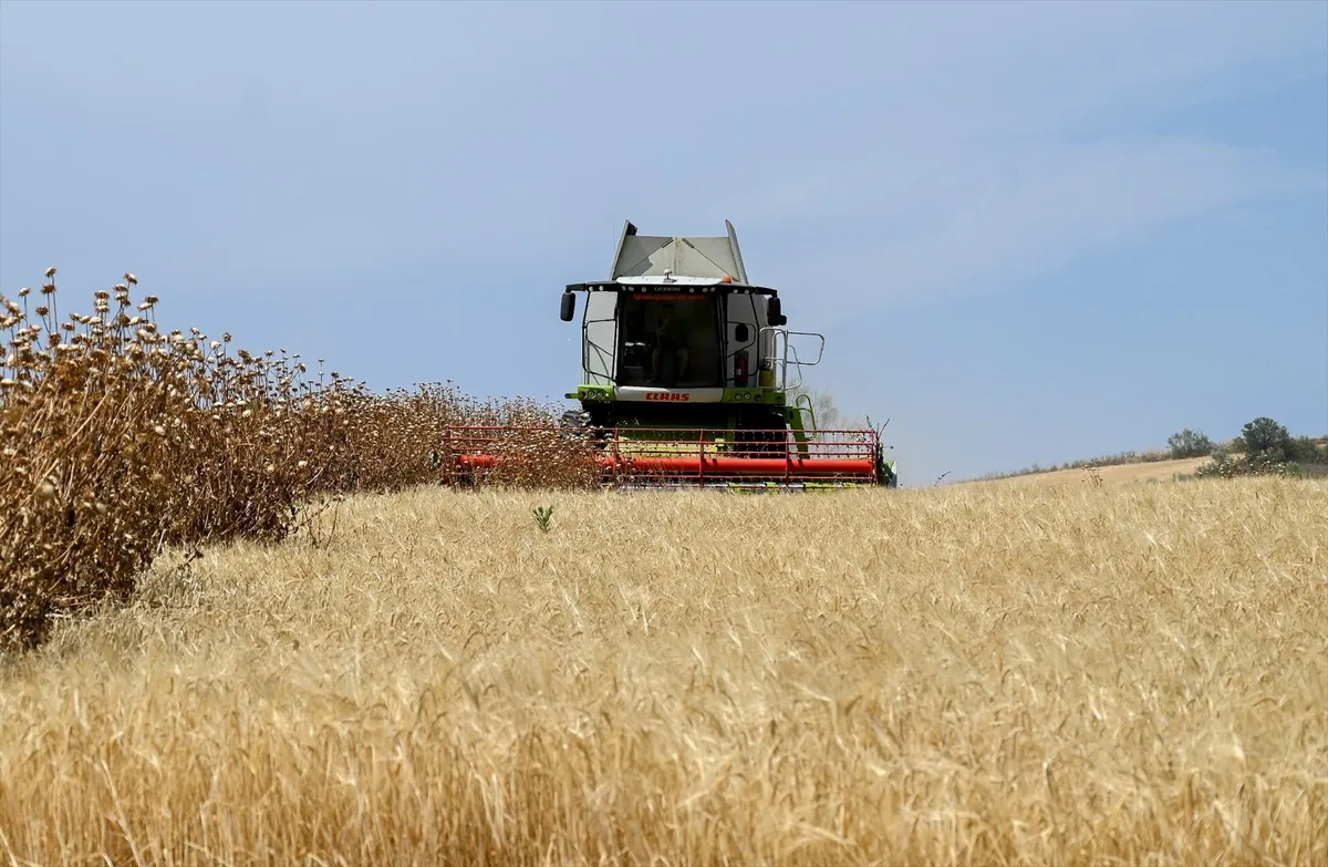 Agricultura ofrece cursos gratis de IA, drones y robótica a agricultores, ganaderos y trabajadores del sector agroalimentario