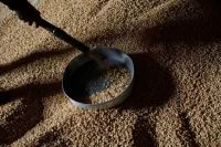 Preço do milho sustenta lucro do produtor na safra 2025/26