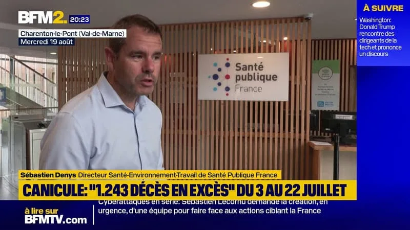 Canicule en France: "1.243 morts en excès" du 3 au 22 juillet, selon Santé publique France