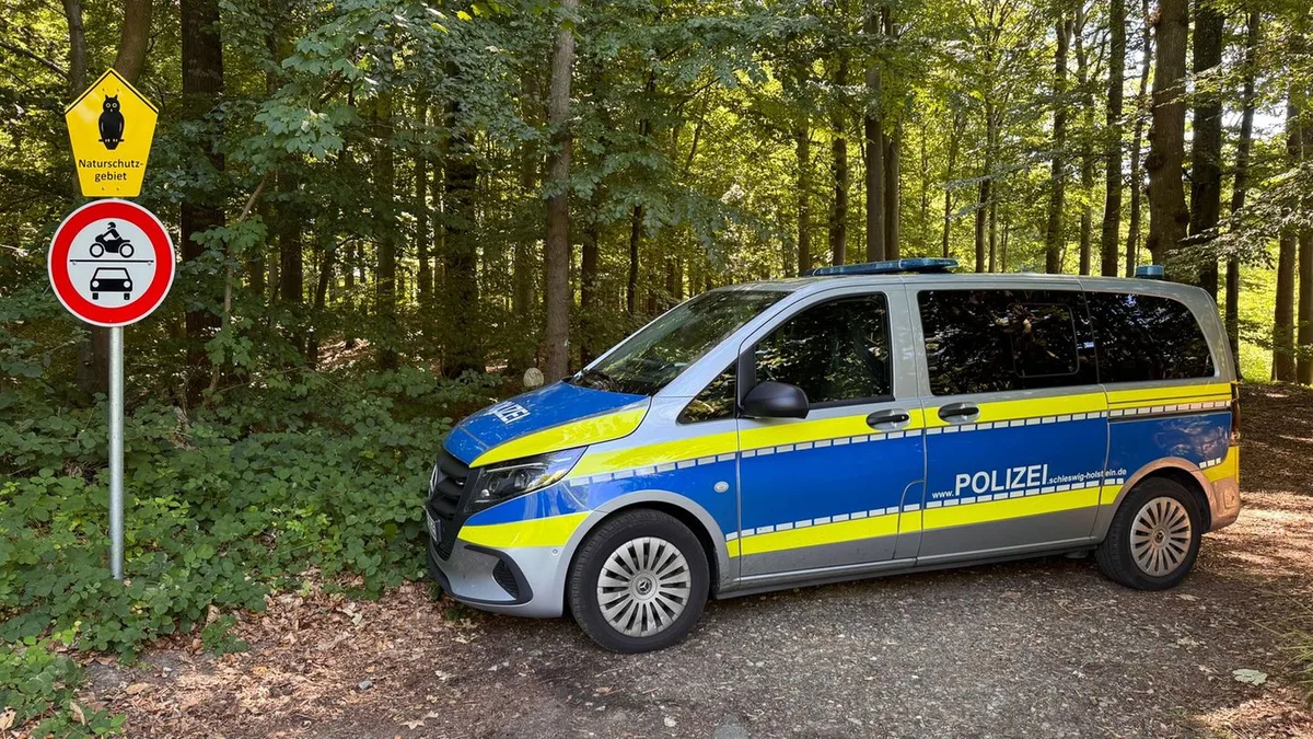 Leichenfund: Neue Suche in Waldstück nach Torso-Fund