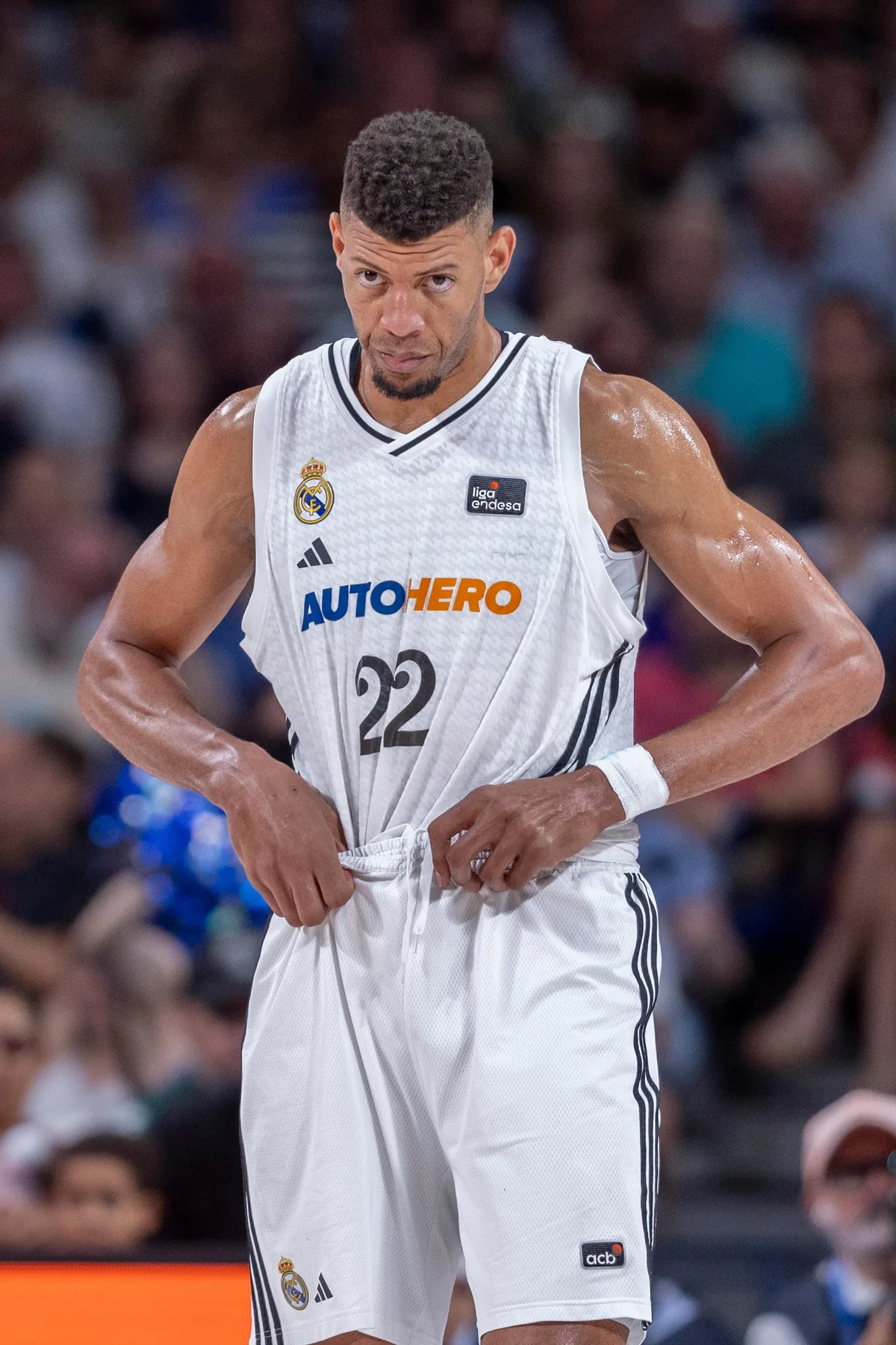 Tavares, el gran refuerzo del Madrid
