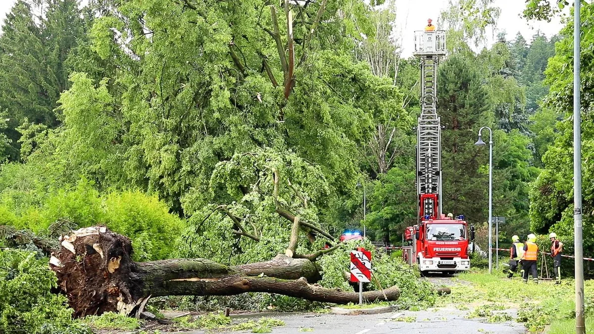 Wetter: Schwere Unwetter in Rheinland-Pfalz - Schäden und Verletzte