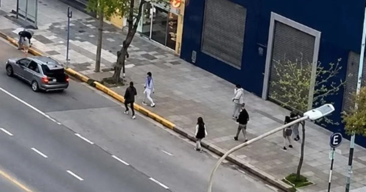 Golpes, patadas en un piso y un auto fuera de control: la pelea a la salida de un boliche en Mar del Plata que terminó en una batalla campal