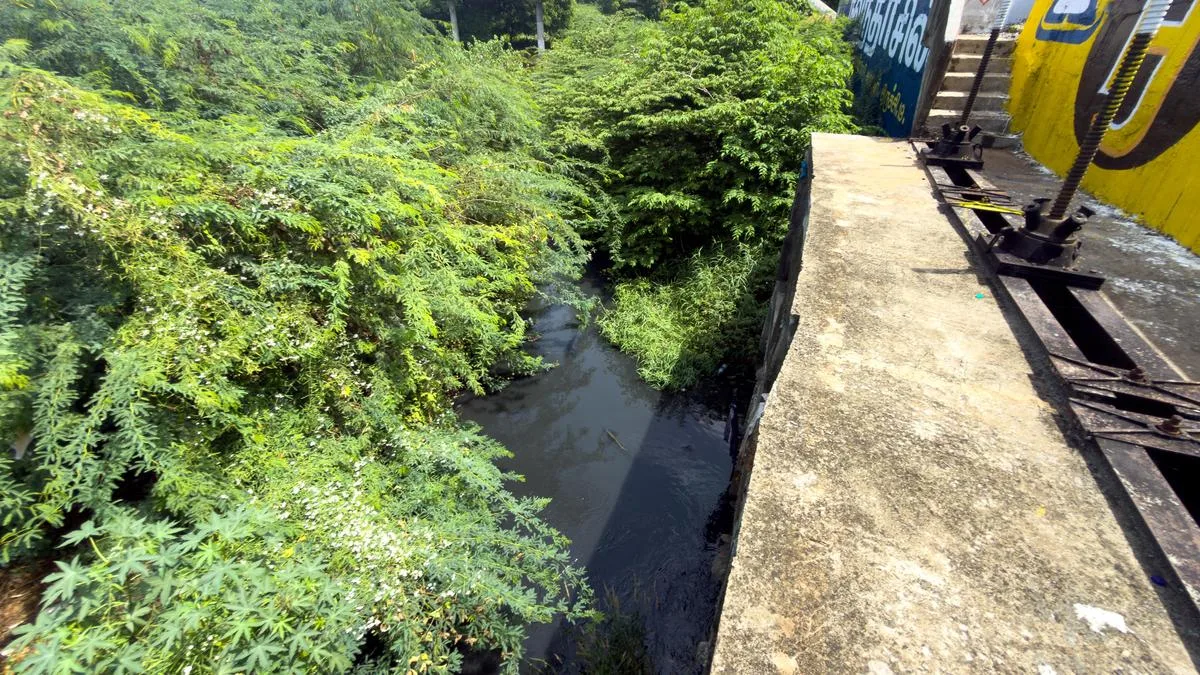Sewage discharge into Cauvery near Sarkarpalayam raises concern