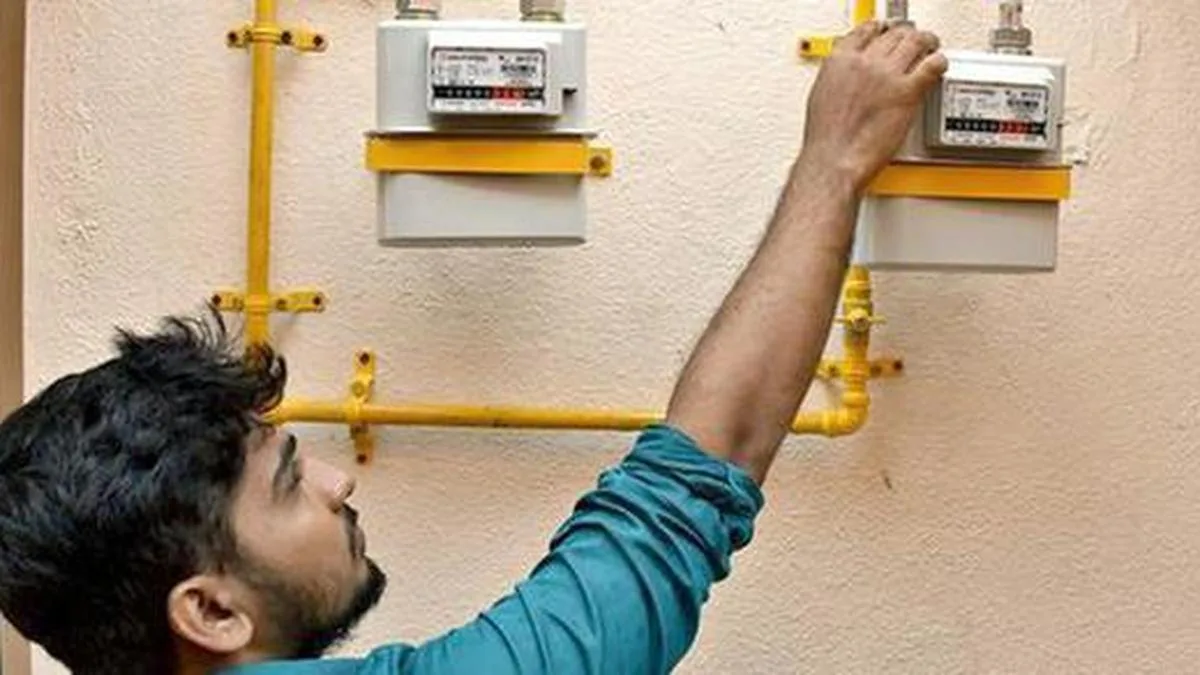 Centre pushes States to speed up PNG adoption, seeks district-level officers to drive LPG-to-gas transition