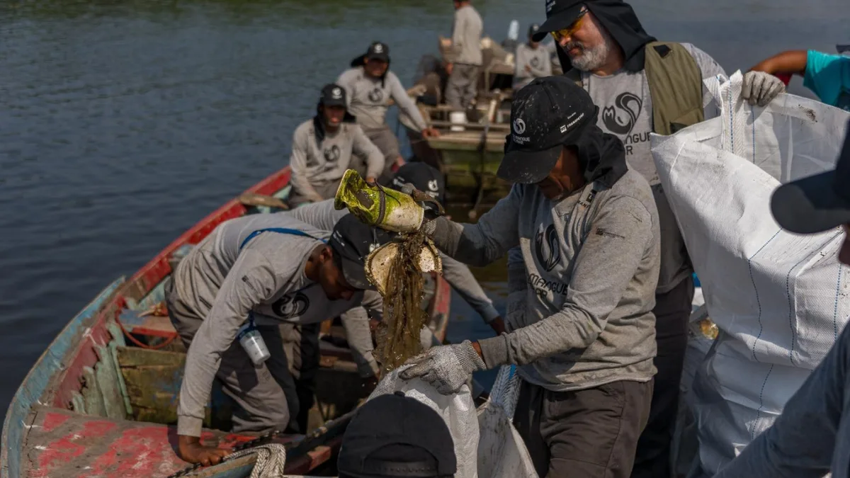 Brazil’s Rio mangroves were buried in waste; fishers restored them and 60 species returned