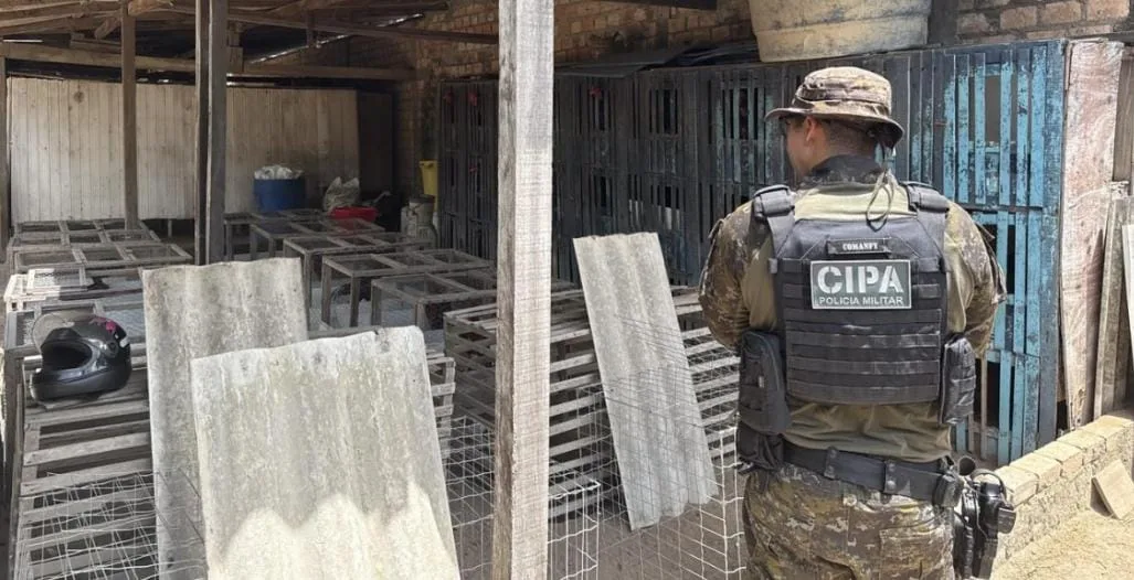 Polícia flagra rinha clandestina com 71 galos e aplica multa de R$ 106 mil no Senador Hélio Campos