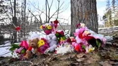 Canadian province sues OpenAI over Tumbler Ridge school shooting
