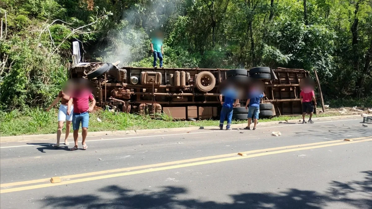 Caminhão com carga de galinhas tomba às margens de rodovia em Castelo