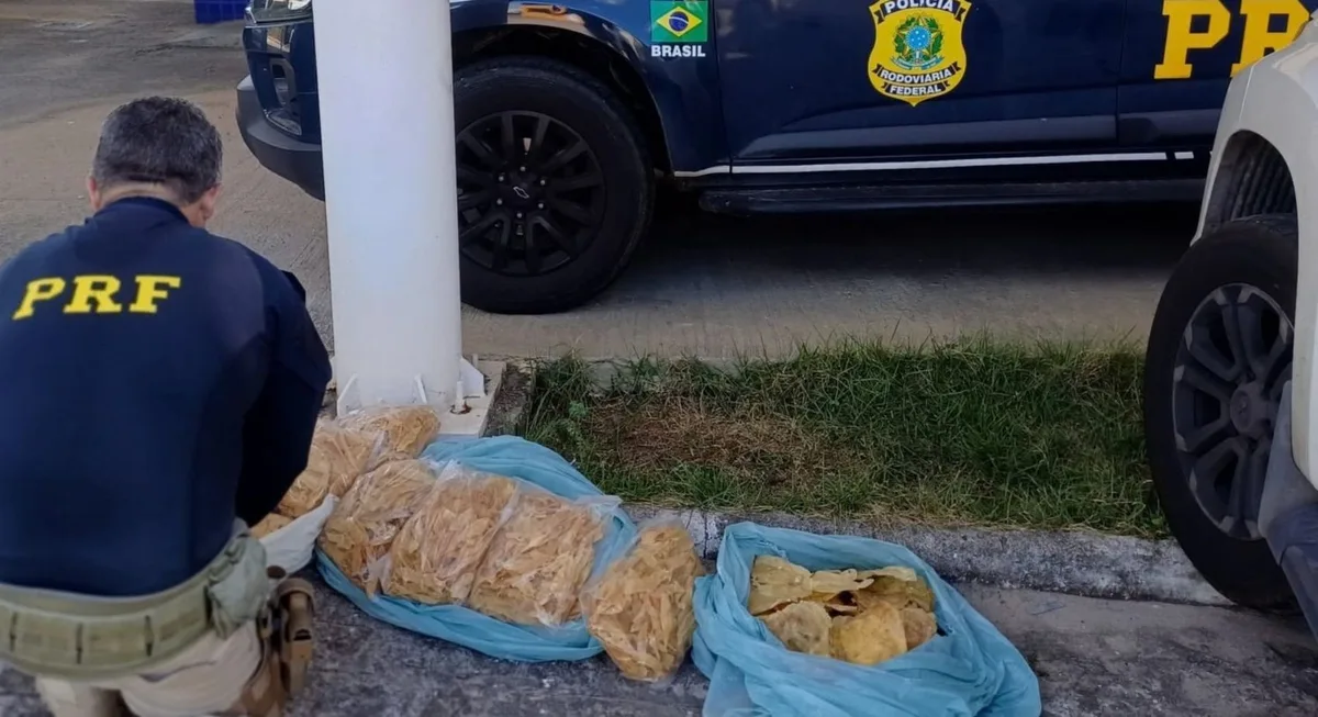 Homem é preso ao transportar carga irregular de pescados na BR-101 em Estância
