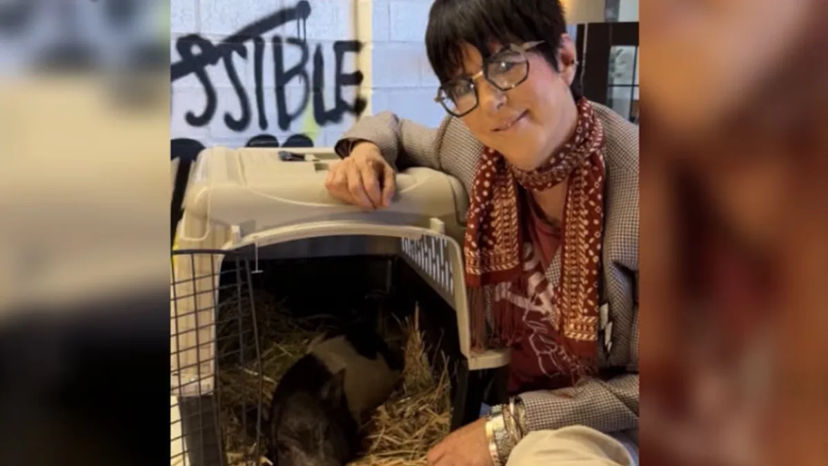 Diane Warren gives famous Hollywood pig Wilbur a seven-acre sanctuary